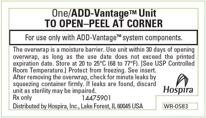 PRINCIPAL DISPLAY PANEL - 250 mL Bag Overwrap Label - NDC 0409-7132