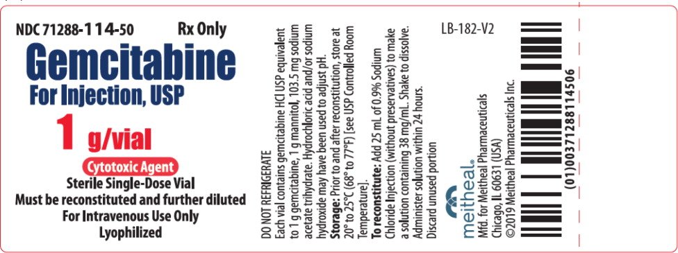 Principal Display Panel – Gemcitabine For Injection, USP 1 g Vial Label
