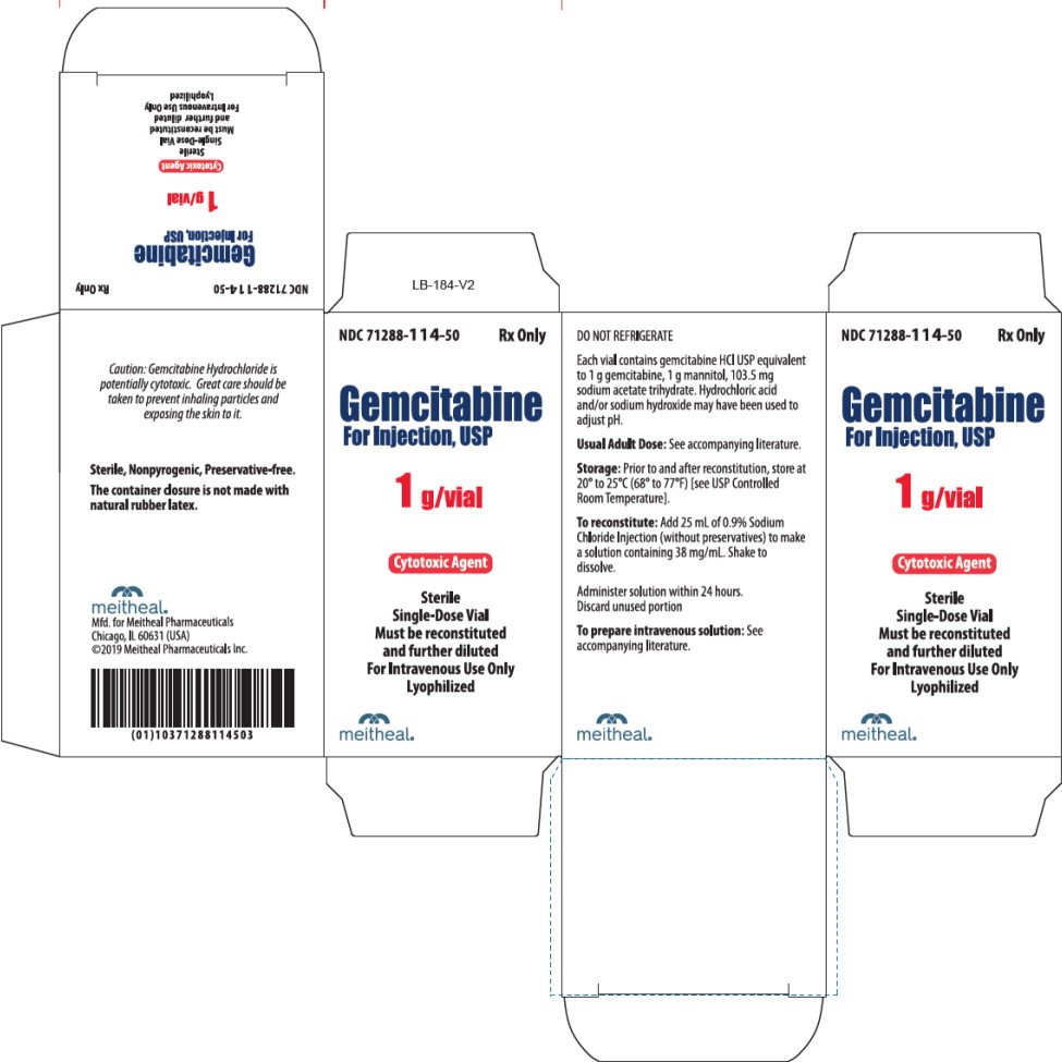 Principal Display Panel – Gemcitabine For Injection, USP 1 g Carton