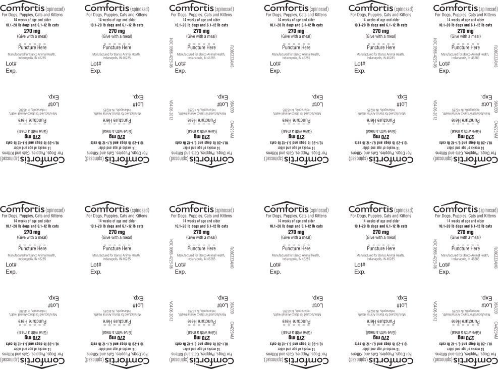 Principal Display Panel - 270 mg Blister Label
