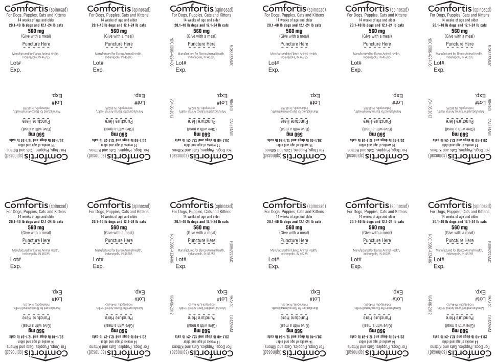 Principal Display Panel - 560 mg Blister Label
