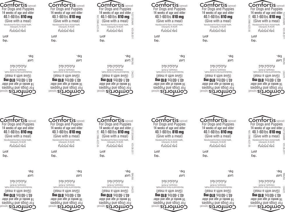 Principal Display Panel - 810 mg Blister Label
