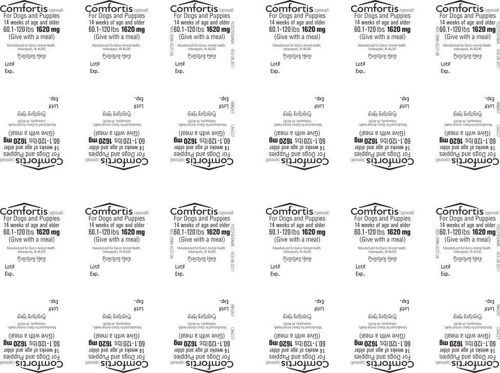 Principal Display Panel - 1620 mg Blister Label
