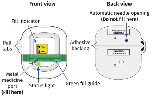 image 2 - UDENYCA ONBODY injector - OBI healthcare provider instructions for use