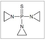 structure.jpg