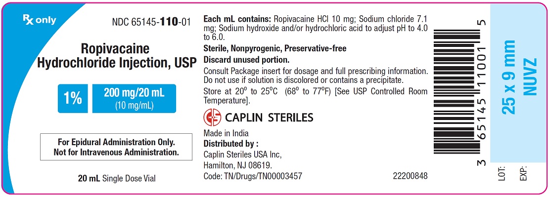ropivacaine-1-20ml-vial