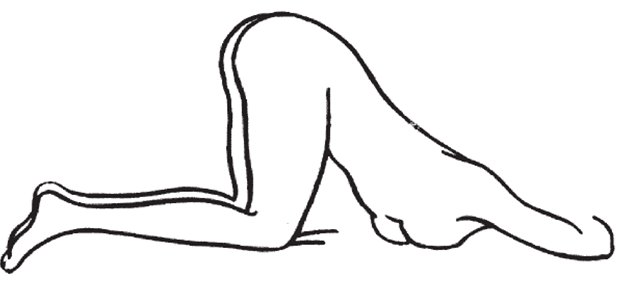 Figure D