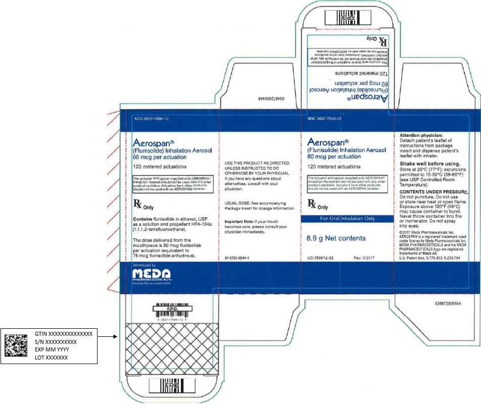 Aerospan Inhalation Aerosol Carton Label
