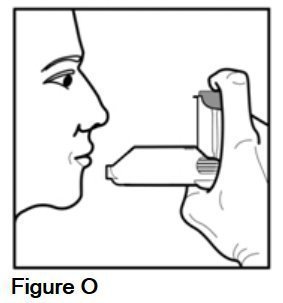 Instructions for Use Figure O