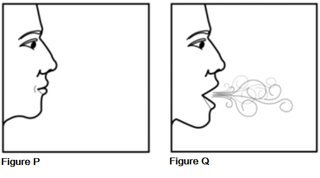 Instructions for Use Figures P and Q