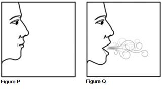 Instructions for Use Figures P and Q