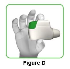 Figure_D_IFU