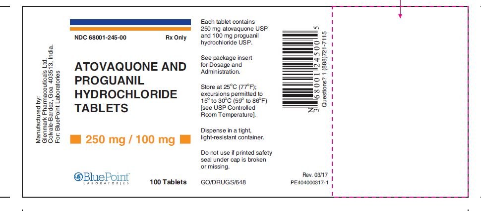 Atovaquone and Proguanil HCl Tablets 250_100mg 100CT Label Rev 03/17