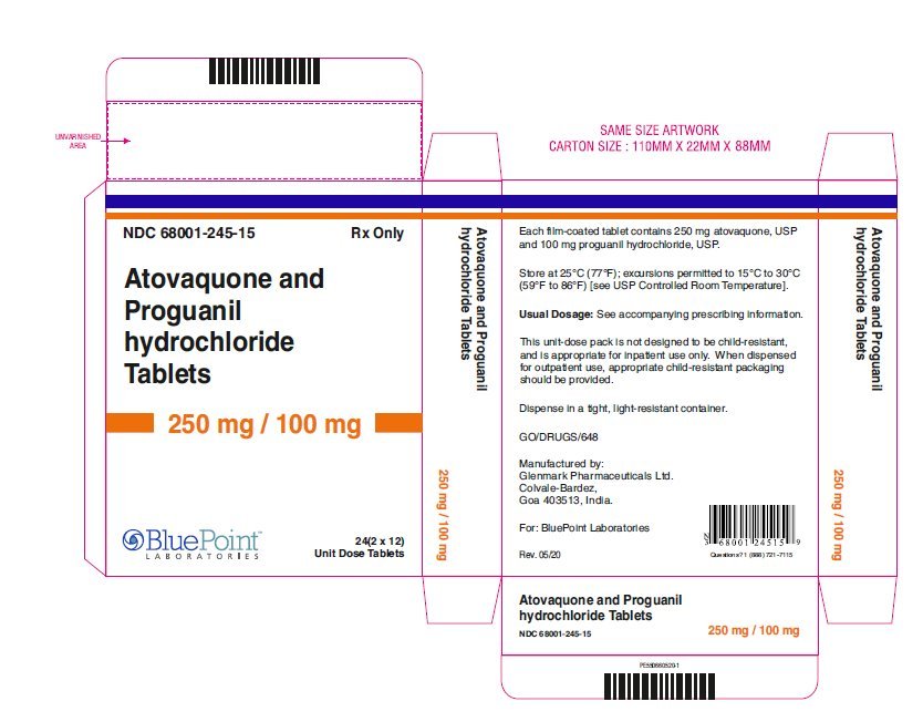 Atovaquone and Proguanil HCL Tablets rev 05 20 carton