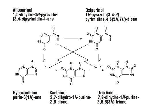 Price of zyloprim