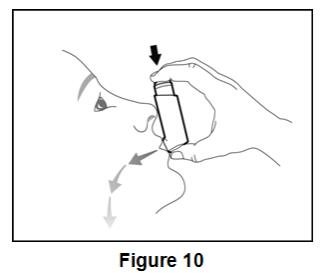 Figure 10