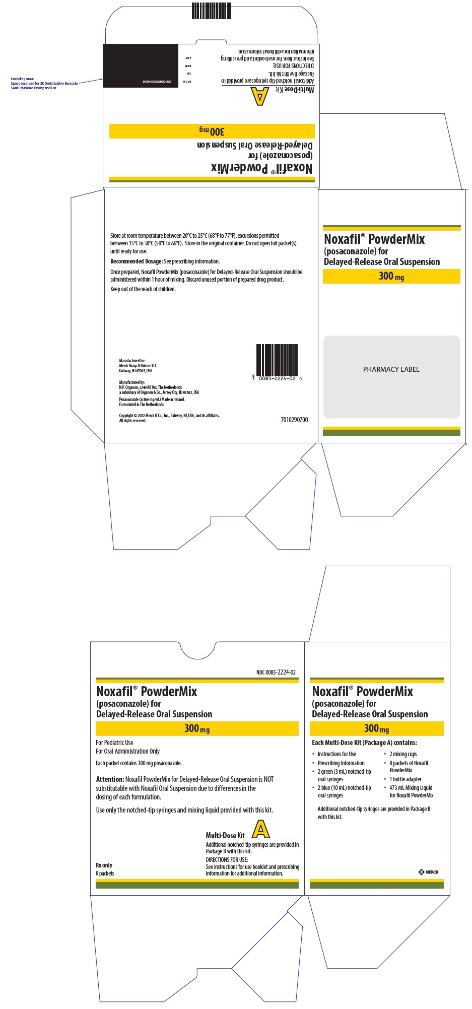 Principal Display Panel - 300 mg Carton