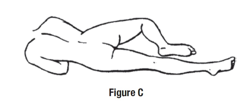 figure C