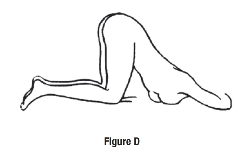 figure D