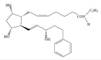 Molecuar Structure
