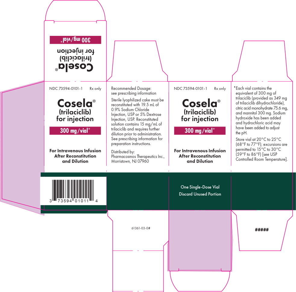 Principal Display Panel – 300 mg Carton Label
