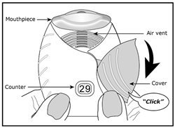 Figure D