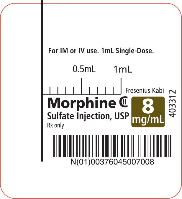 PACKAGE LABEL - PRINCIPAL DISPLAY - Morphine 1 mL Syringe Label 