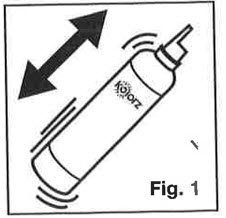 Fig. 1