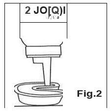 Fig. 2