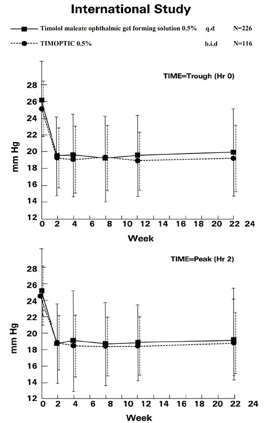 timolo-gfs-figure-2