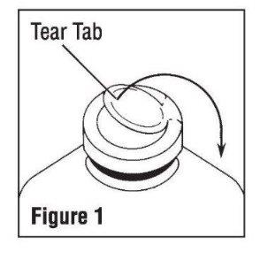 Figure 1 illustration