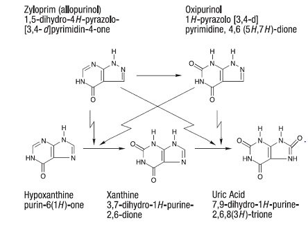 Zyloprim 20 mg