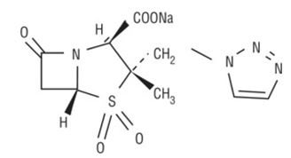 taz-structure