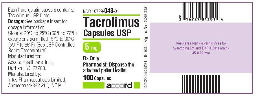 5 mg 100 CAPSULES