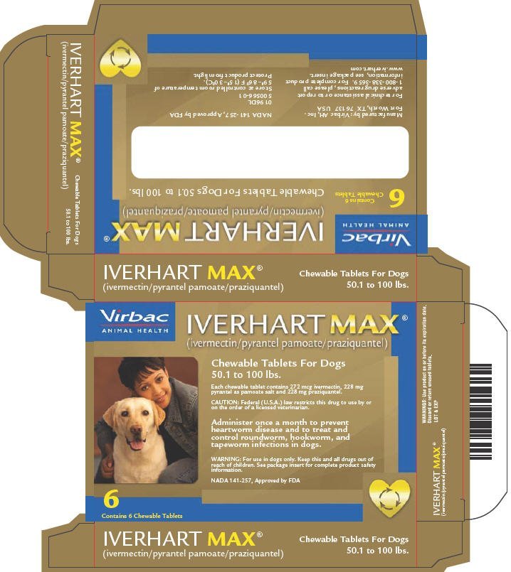 PRINCIPAL DISPLAY PANEL - Large dogs tablet carton