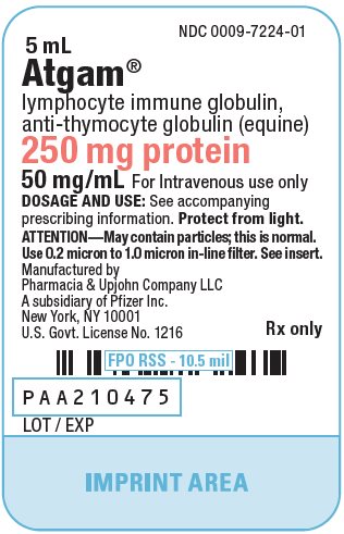 PRINCIPAL DISPLAY PANEL - 5 mL Ampule Label