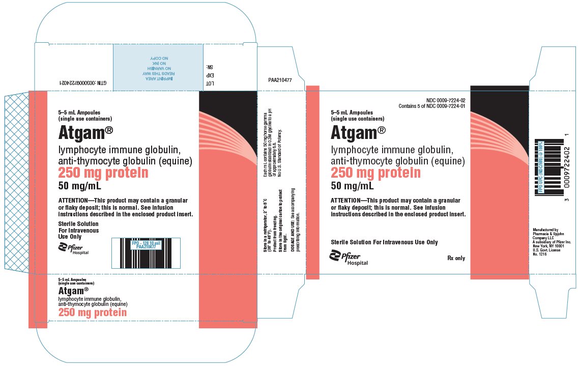 PRINCIPAL DISPLAY PANEL - 5 mL Ampule Carton