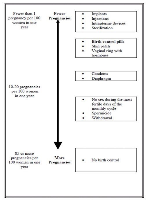 Pregnancy Chart