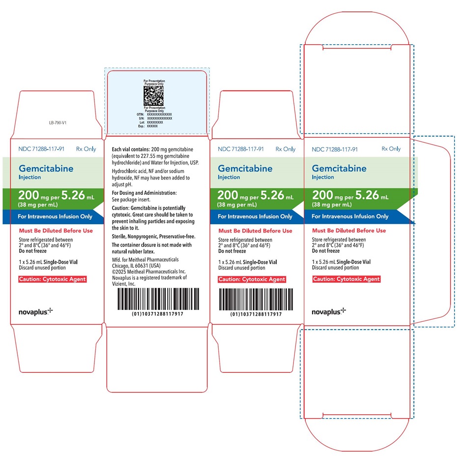 Principal Display Panel – Gemcitabine Injection 200 mg Carton