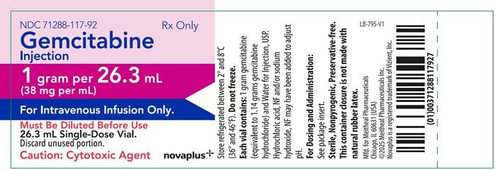 Principal Display Panel – Gemcitabine Injection 1 gram Vial Label