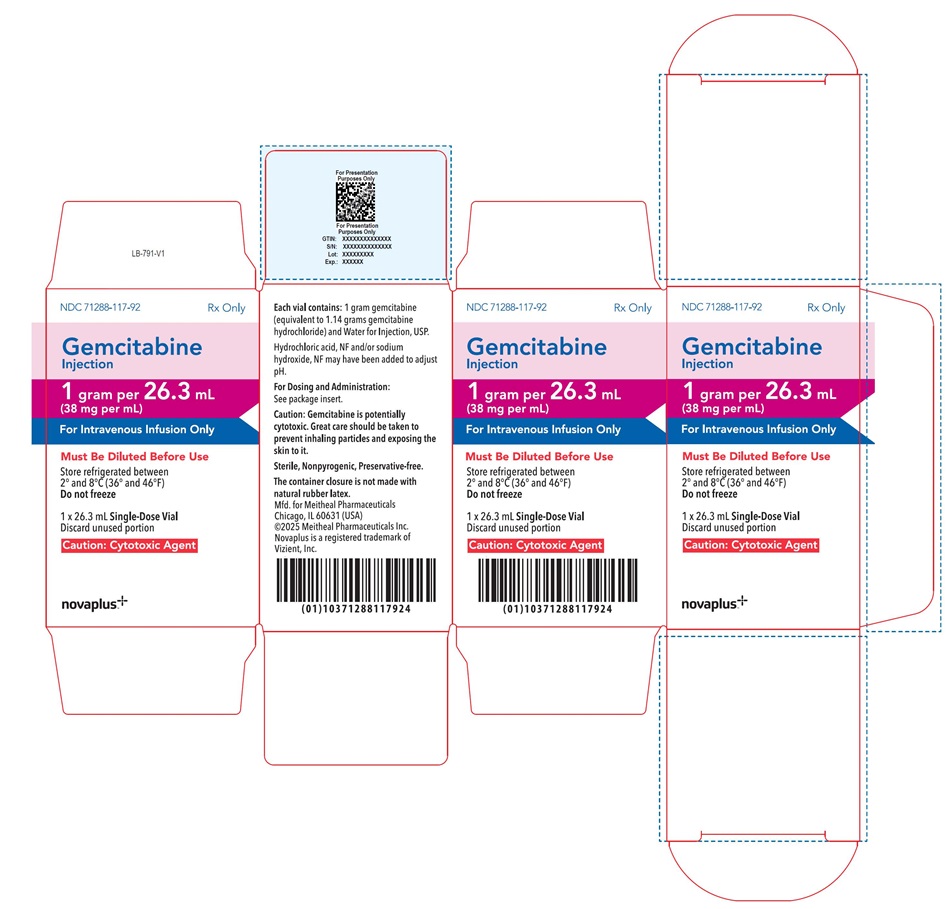Principal Display Panel – Gemcitabine Injection 1 gram Carton