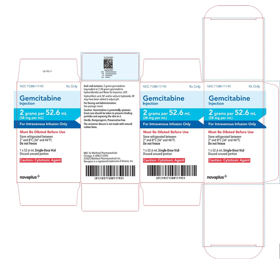 Principal Display Panel – Gemcitabine Injection 2 gram Carton