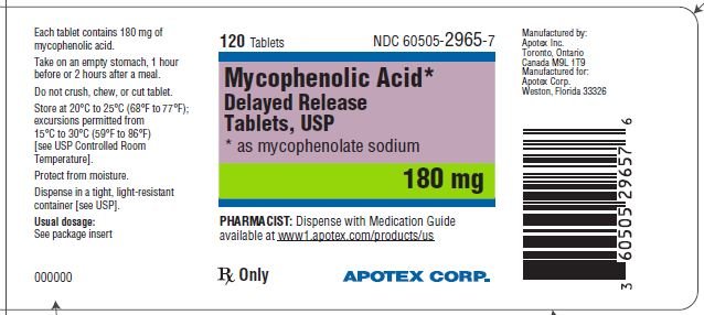 mycophenolate-180mg