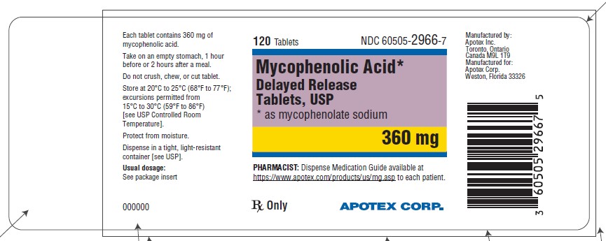 mycophenolate-360mg