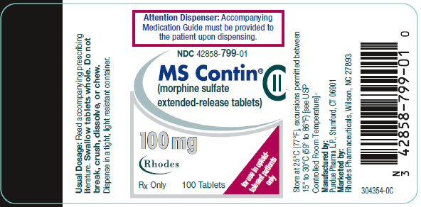 PRINCIPAL DISPLAY PANEL - 100 mg Tablet Bottle Label