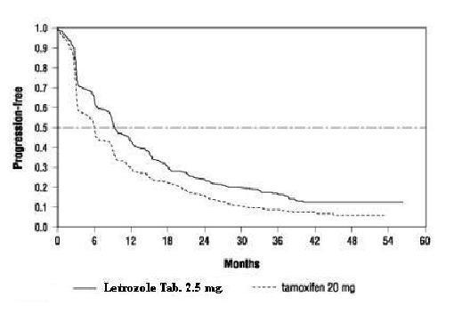 Figure 2  Kaplan-Meier Estimates of Time to Progression (Tamoxifen Study)