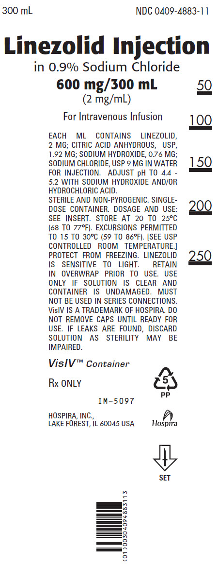 PRINCIPAL DISPLAY PANEL - 300 mL Bag Label - VisIV™ Container
