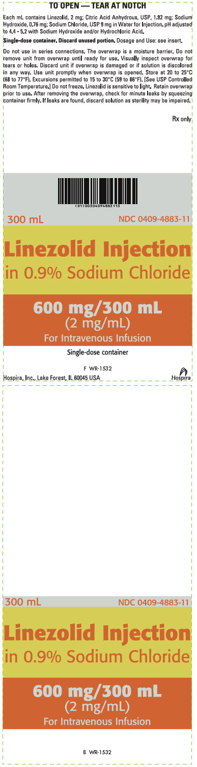 PRINCIPAL DISPLAY PANEL - 300 mL Pouch Label - VisIV™ Container