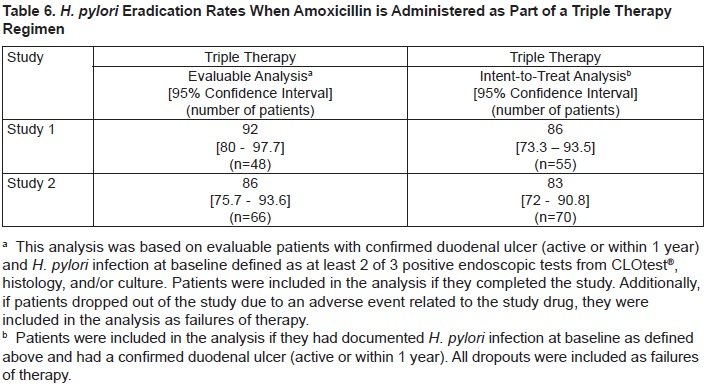 amoxicillin 2 tablets 3 times a day