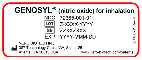 PRINCIPAL DISPLAY PANEL - 216 L Cartridge Label - Cassette Top